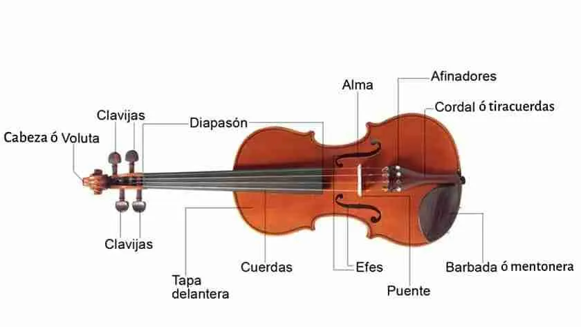 partes del violin
