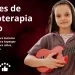 clases de musicoterapia online