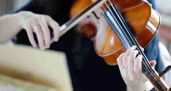 clases de violin para adultos