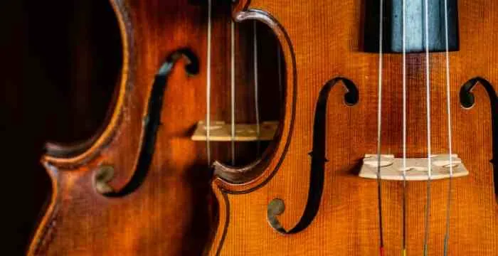 como comprar un violin