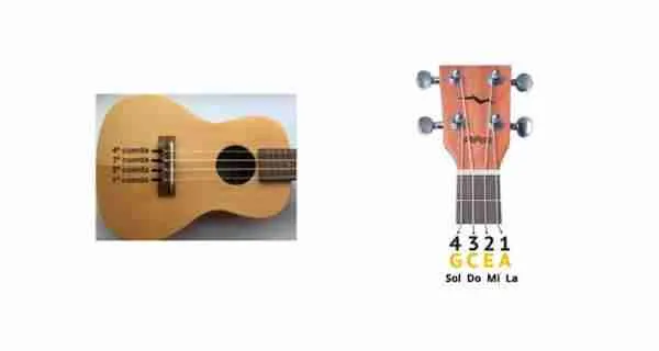 notas musicales ukelele cuerdas