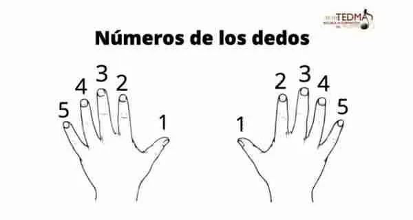 las notas del piano numeros de los dedos