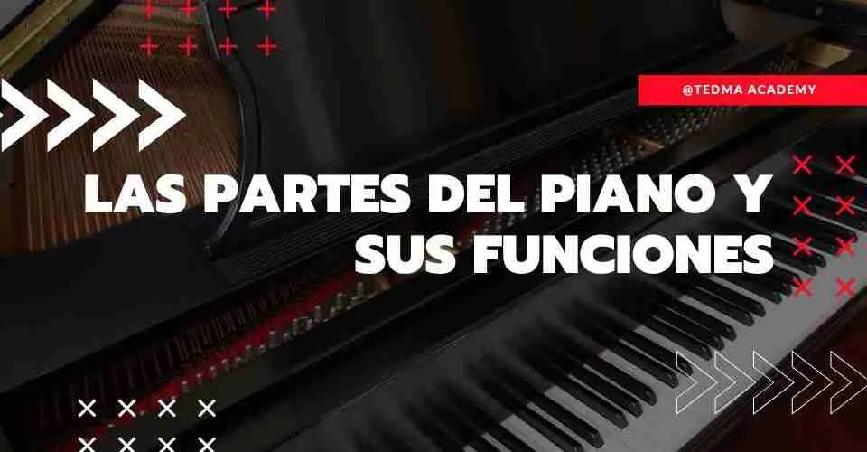 las partes del piano y sus funciones