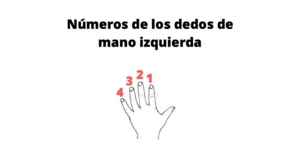 los numeros de los dedos en ukelele