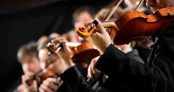 profesor de violin avanzado